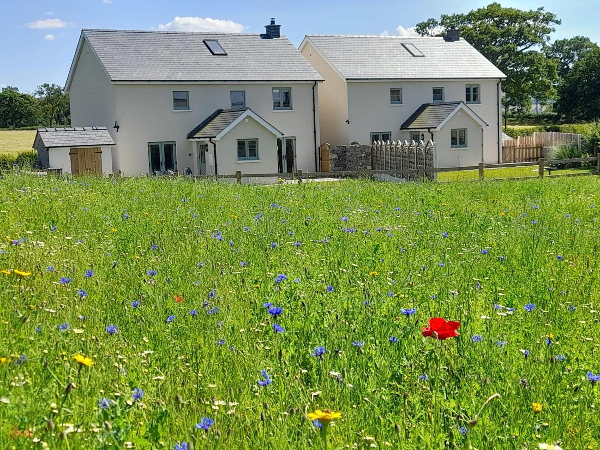 Brecon Beacons Cottage With Stunning Country Views Myddfai Exterior photo